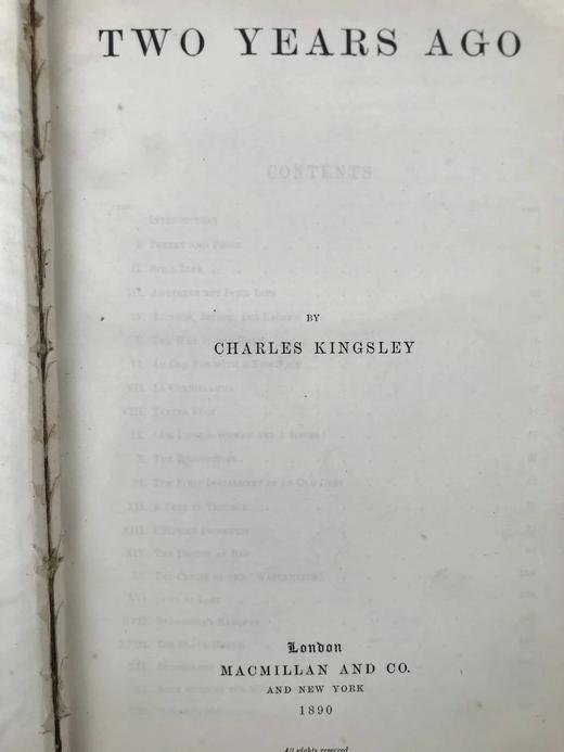 1889-1890年 查尔斯·金斯利《两年前/埃尔顿·洛克/酵母》 真皮精装大32开 商品图2