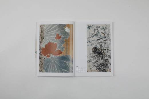 新书！朵云真赏苑·名画抉微|谢稚柳花鸟+江寒汀花鸟+吴湖帆山水+张大千山水+刘奎龄走兽 商品图3