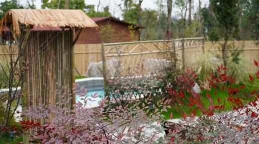 【崇州·上元来德温泉酒店·温泉shou发·近九龙沟】299抢599元观景房+早餐+温泉+小熊猫乐园门票 商品图5