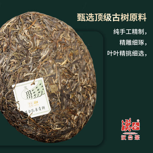汉合臻品孔雀2021年古树普洱茶 传承经典，纯粹优雅 商品图1
