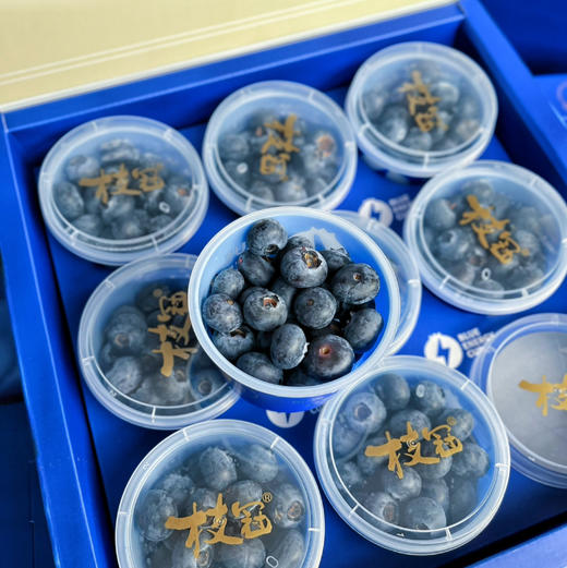 【超能杯】枝冠 超能杯 蓝莓，入口脆甜，果粉多，礼盒装自吃送礼都漂亮！ 商品图0