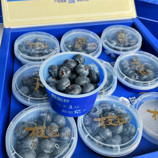 【超能杯】枝冠 超能杯 蓝莓，入口脆甜，果粉多，礼盒装自吃送礼都漂亮！ 商品图4