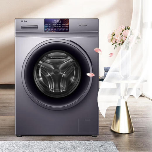 海尔（Haier）洗衣机 EG10010B18S 商品图0