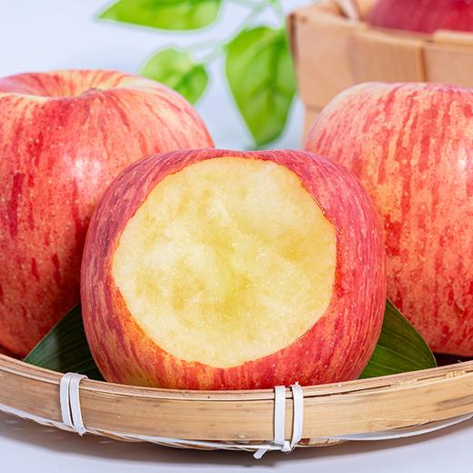 新鲜水果 红富士苹果 8元/斤 3斤装 （称重退差 多退少补） 商品图1