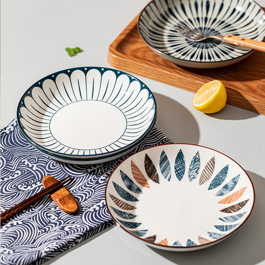 摩登主妇日式盘子陶瓷菜盘深盘家用高级感碟子餐具特别好看的餐盘 商品图2