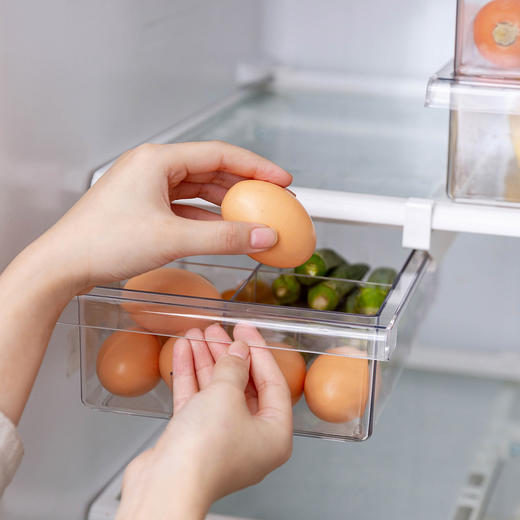 摩登主妇冰箱收纳盒抽屉式冷冻保鲜盒悬挂式食品盒塑料分装鸡蛋盒 商品图0