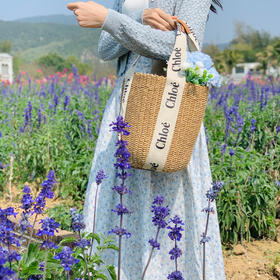 【百图lulu定制】【奥黛丽半裙】碎花 温柔 压褶 半身裙