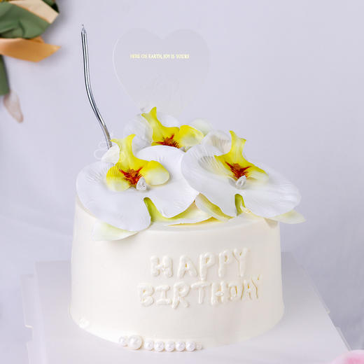 蝴蝶兰蛋糕 商品图1