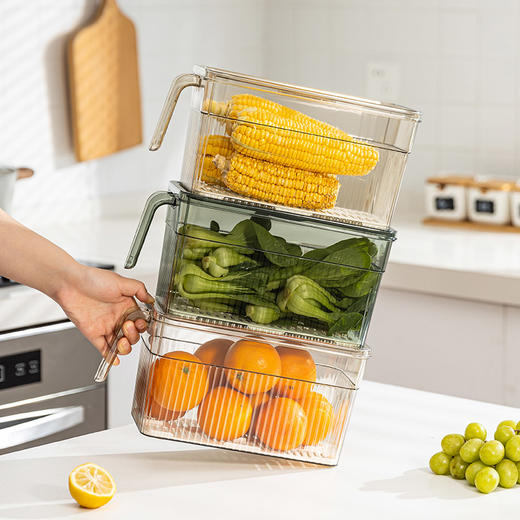 摩登主妇冰箱收纳盒食品级保鲜盒冷冻带盖厨房水果蔬菜鸡蛋储物盒 商品图2