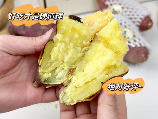 海南山口板栗地瓜 蜜薯 软糯香甜 商品图3