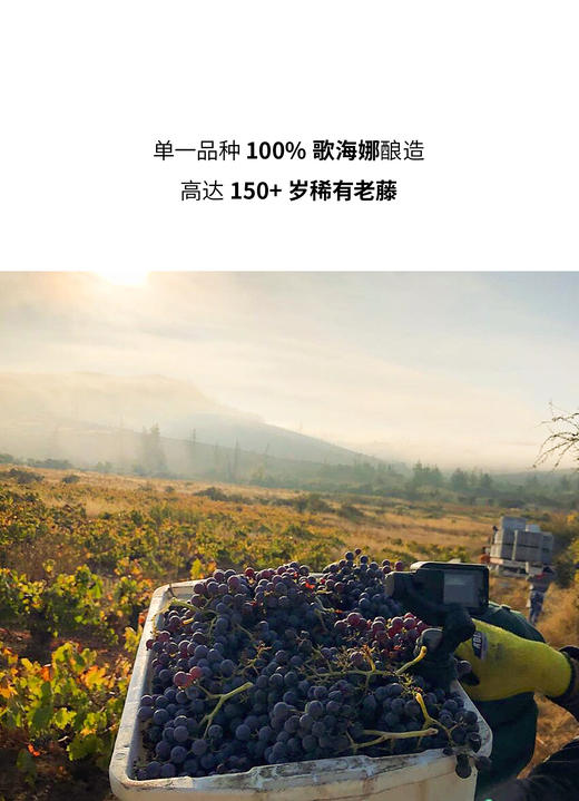 车库酒公司博贾园歌海娜红葡萄酒 2018 Garage Wine Co. Bagual Vineyard Garnacha 商品图1
