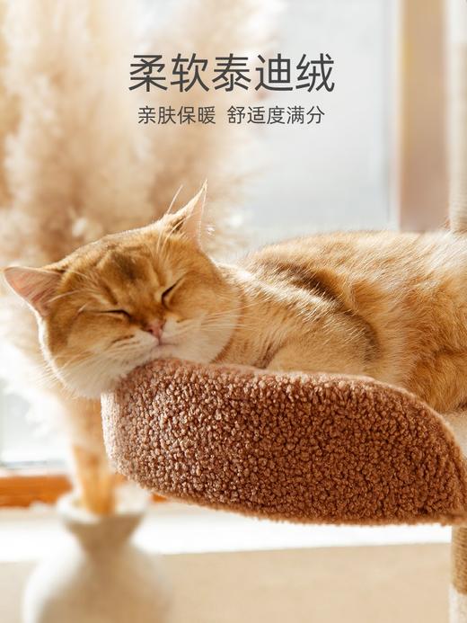 【猫爬架】-猫爬架猫窝猫树一体剑麻猫抓柱别墅跳台大型猫塔 商品图3