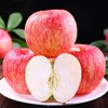 新鲜水果 红富士苹果 8元/斤 3斤装 （称重退差 多退少补） 商品缩略图0
