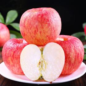 新鲜水果 红富士苹果 8元/斤 3斤装 （称重退差 多退少补）