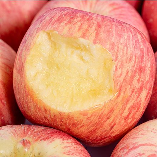 新鲜水果 红富士苹果 8元/斤 3斤装 （称重退差 多退少补） 商品图2