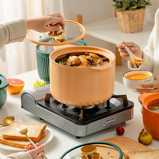 摩登主妇北欧砂锅炖锅家用燃气灶专用高颜值沙锅煲汤陶瓷汤锅锅具 商品图2