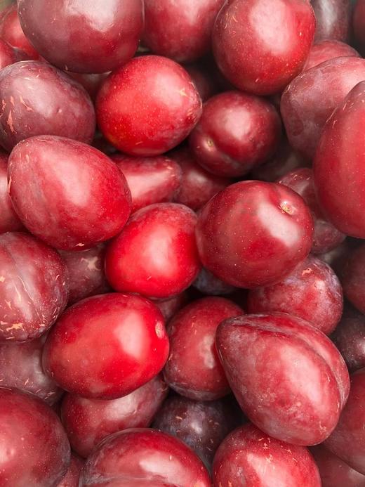 澳洲鸡心李礼盒装（4.5斤装） 商品图1