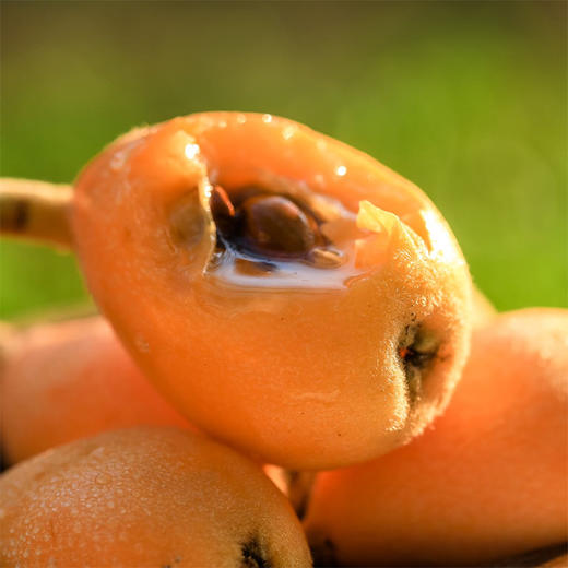 四川攀枝花米易早中枇杷 净重2.5-4.5斤装 顺丰京东直发 商品图6