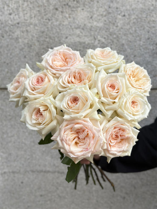 肯尼亚鲜花princess maya玛雅公主玫瑰花10支 商品图5