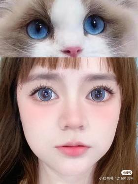 【店主实拍】蓝莓碎冰冰14.5mm【年抛 0-1000度 含有525/575】着色14.0mm