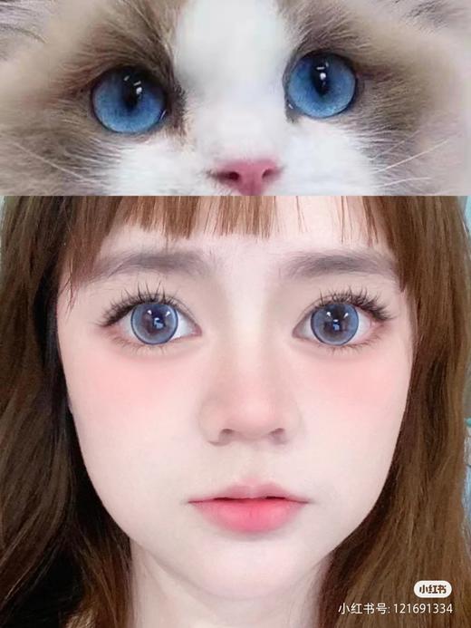 【店主实拍】蓝莓碎冰冰14.5mm【年抛 0-1000度 含有525/575】着色14.0mm 商品图0