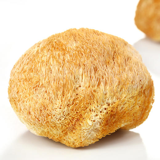 正耕 有机猴头菇80g*2 商品图1