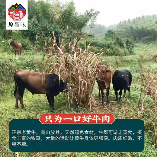 高山放养黄牛肉 商品图0