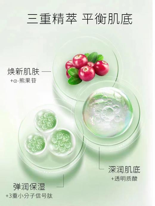 CSS希妍萃橄榄积雪草精华液30ML 商品图3