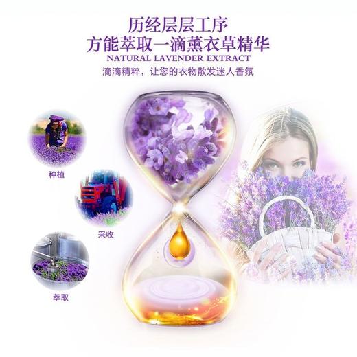 激浪薰衣草精油4kg洗衣液（瓶装） 仅限门店自提 商品图1