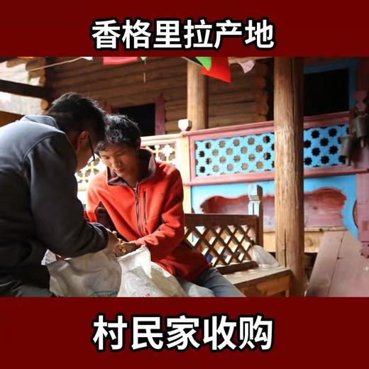 【野生牛肝菌干货】云南特产菌菇100克 商品图1