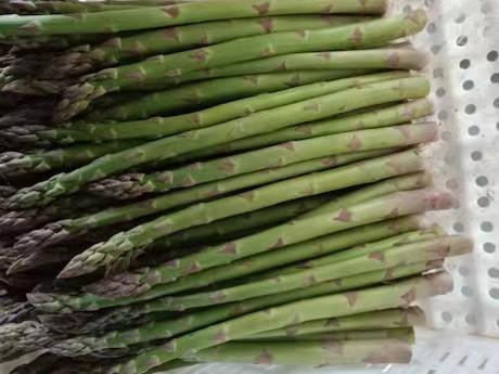 江苏省宜兴市 有机芦笋  有机宝宝笋 商品图3