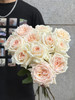 肯尼亚鲜花princess maya玛雅公主玫瑰花10支 商品缩略图6