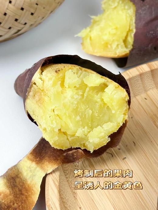 海南山口板栗地瓜 蜜薯 软糯香甜 商品图4