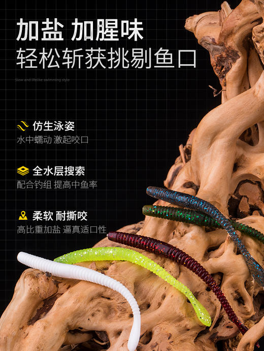 弓口虫浮水面条虫加盐加腥软虫黑坑鲈鱼鳜鱼饵无铅倒钓钓组假饵 商品图1