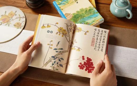 《读至美唐诗三百首》331首唐诗精品  274幅传世名画 商品图9