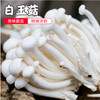 白玉菇【袋】 商品缩略图1