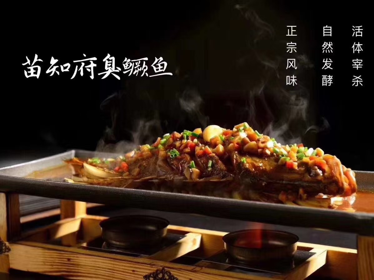 苗员外臭桂鱼～350克/条