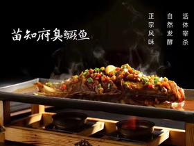 苗员外臭桂鱼～350克/条