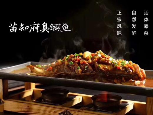 苗员外臭桂鱼～350克/条 商品图0