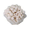 白玉菇【袋】 商品缩略图2