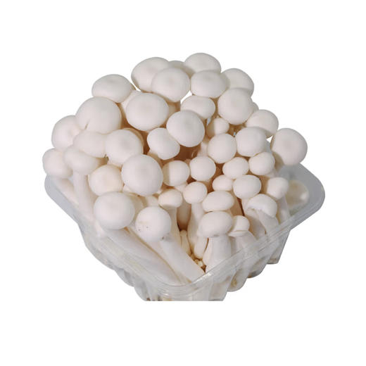 白玉菇【袋】 商品图2