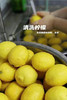 手作柠檬汁（补充维生素c） 商品缩略图10