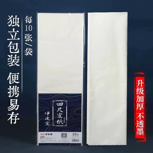 天天练宣纸四尺加厚生宣熟宣纸半生半熟书法国画写意山水花鸟考试作品创作69*138mm10张/包 商品图1