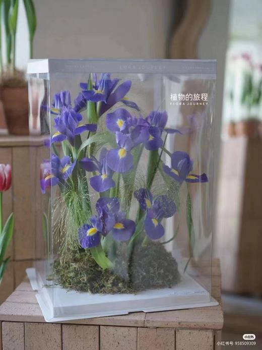 透明方盒 商品图3