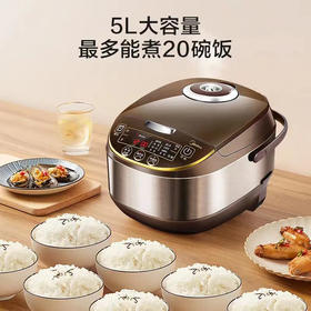 5F京东家电美的饭煲5L