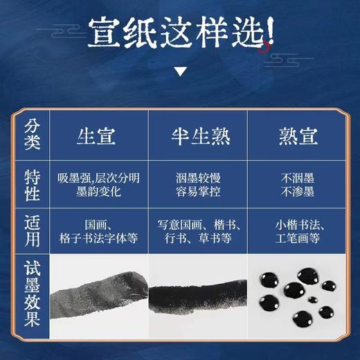 天天练宣纸四尺加厚生宣熟宣纸半生半熟书法国画写意山水花鸟考试作品创作69*138mm10张/包 商品图4