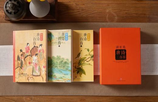 《读至美唐诗三百首》331首唐诗精品  274幅传世名画 商品图6