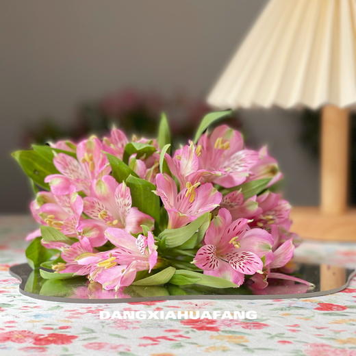 【AB级粉色水仙百合】10支/份 商品图6