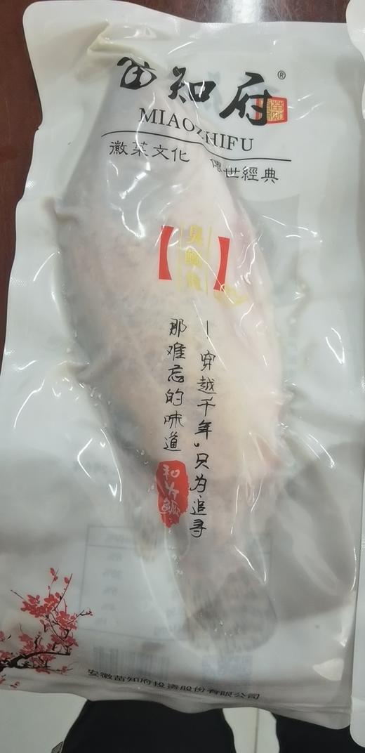 苗员外臭桂鱼～350克/条 商品图2