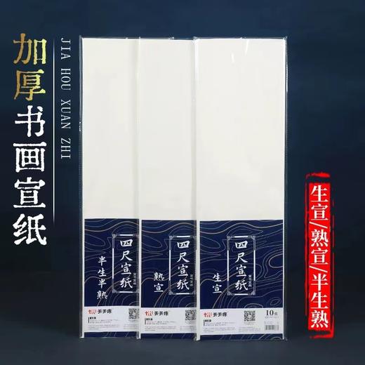 天天练宣纸四尺加厚生宣熟宣纸半生半熟书法国画写意山水花鸟考试作品创作69*138mm10张/包 商品图0